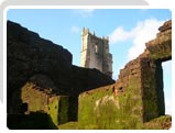Ruins of Church of St. Augustine, Goa