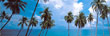 Goa Beach Tour